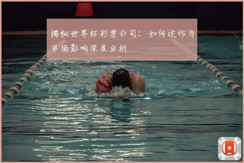 揭秘世界杯彩票公司：如何运作与市场影响深度分析