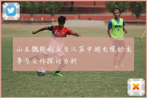 山东魏桥创业与江苏中超电缆的竞争与合作探讨分析