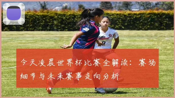 今天凌晨世界杯比赛全解读：赛场细节与未来赛事走向分析