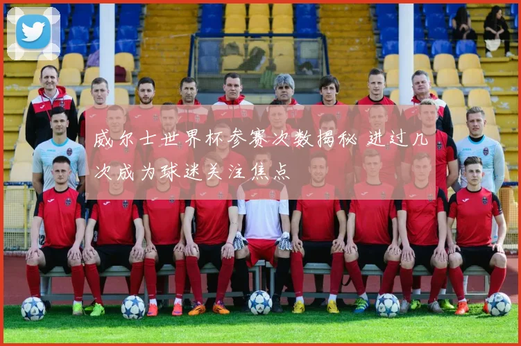 威尔士世界杯参赛次数揭秘 进过几次成为球迷关注焦点
