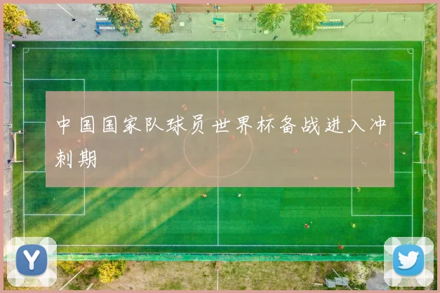 中国国家队球员世界杯备战进入冲刺期