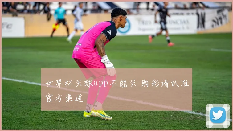 世界杯买球app不能买 购彩请认准官方渠道