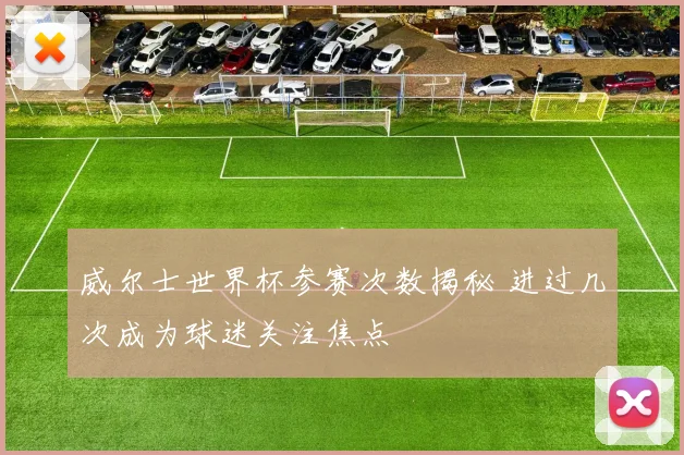 威尔士世界杯参赛次数揭秘 进过几次成为球迷关注焦点