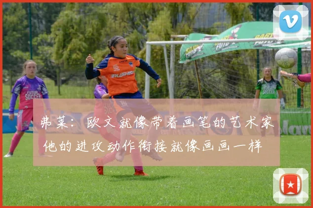 弗莱：欧文就像带着画笔的艺术家 他的进攻动作衔接就像画画一样