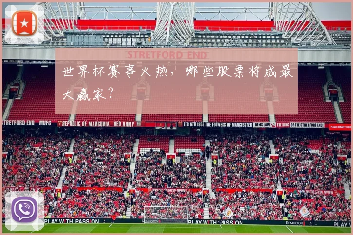 世界杯赛事火热，哪些股票将成最大赢家？