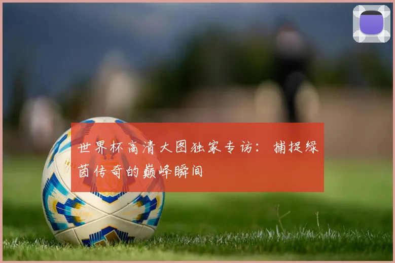 世界杯高清大图独家专访：捕捉绿茵传奇的巅峰瞬间